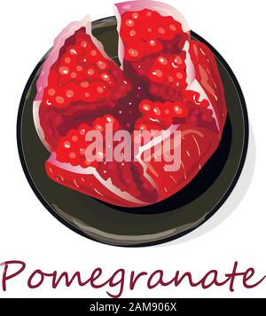Immagine vettoriale di melograno a mano isolata su sfondo bianco. Illustrazione Vettoriale