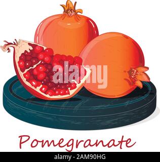 Immagine vettoriale di melograno a mano isolata su sfondo bianco. Illustrazione Vettoriale