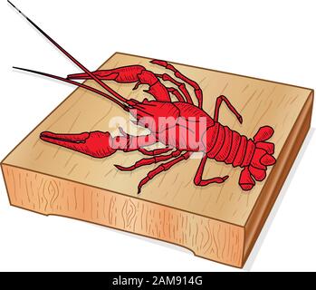 Gamberi impostato su immagine vettoriale piatto su sfondo bianco. Illustrazione Vettoriale