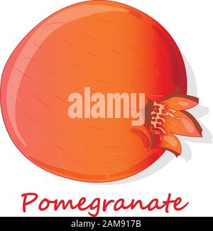 Immagine vettoriale di melograno a mano isolata su sfondo bianco. Illustrazione Vettoriale