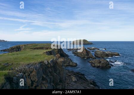 Colonia di puffin di Elliston in Terranova Canada Foto Stock