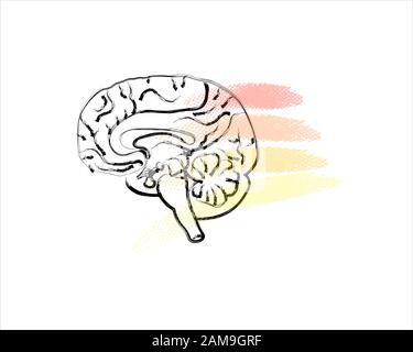 World Mental Health Day Background. Cervello con linee colorate. Schizzo del doodle dell'arte della linea. Contorno nero su sfondo bianco. L'immagine può essere utilizzata in biglietti d'auguri, poster, volantini, banner, logo, ecc. illustrazione vettoriale. EPS10 Illustrazione Vettoriale