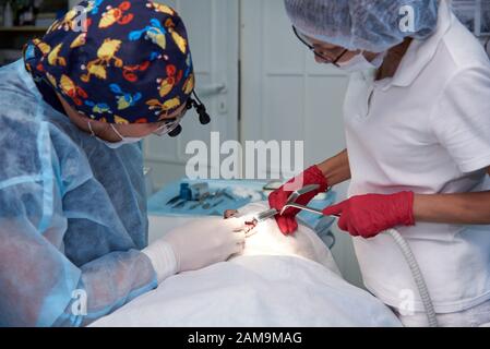 La chirurgia nella clinica dentale. Sinus operazione di sollevamento.Fase impianto dentale. Foto Stock