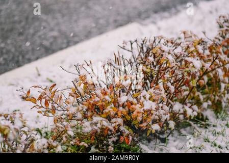 Forte vento e nevicate sulla strada. Cattive previsioni meteo. Nevicate sulla strada in una grande città. La prima neve, neve che cade, neve che cade, primo piano. Foto Stock