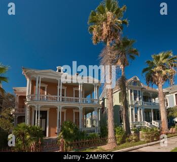 Case vittoriane con portici su Sealy Avenue nel quartiere storico di East End, Galveston, Texas, Stati Uniti Foto Stock