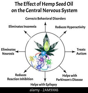 L'effetto dell'olio di semi di canapa sul sistema nervoso centrale. Sinapsi di neuroni. Background delle comunicazioni neurali. Neurone di comunicazione Synapse. Vettore Illustrazione Vettoriale