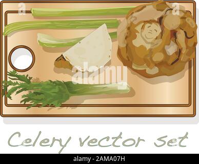 Illustrazione del sedano sul dorso bianco. Immagine vettoriale. Illustrazione Vettoriale