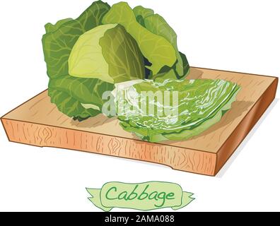 Cavolo su piattaforma di legno vettore illustrazione isolato su bianco Illustrazione Vettoriale