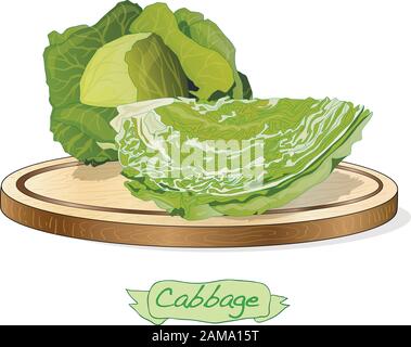 Cavolo su piattaforma di legno vettore illustrazione isolato su bianco Illustrazione Vettoriale