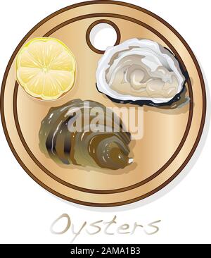 Immagini vettoriali di ostriche fresche aperte impostate su piastra/piatto isolato su sfondo bianco. Illustrazione Vettoriale
