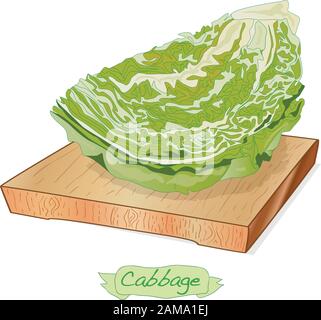 Cavolo su piattaforma di legno vettore illustrazione isolato su bianco Illustrazione Vettoriale