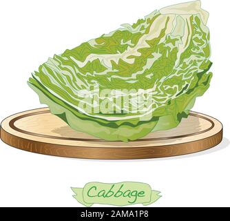 Cavolo su piattaforma di legno vettore illustrazione isolato su bianco Illustrazione Vettoriale