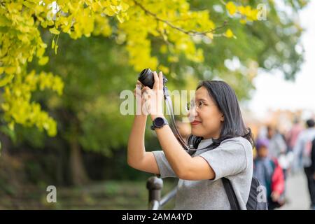 Giovane e bella fotografa con la macchina fotografica professionale che scatta la foto bella foglia d'acero colorata d'autunno a Kyoto Giappone. Foto Stock