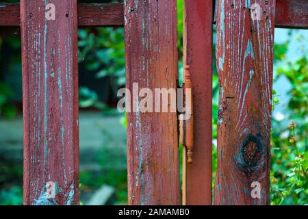 Recinzione in legno a picco con vernice rossa bruciata e una tavola mancante, mostrando erbacce giardino. Primo piano. Foto Stock