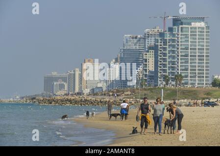 Spaziergänger, Sandstrand, Hundestrand, Hochhäuser, Tel Aviv, Israele Foto Stock