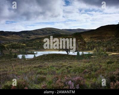 Una vista di settembre di Loch Salach a Ghiubhais in Glen Affric poco prima che i colori della natura cominciano a mostrare e freddo invernale comincia. 27/09/19 Foto Stock