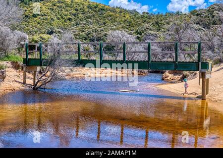 Piccolo ragazzo sul fiume costiero che conduce a Tasman Bay, Abel Tasman National Park, Nuova Zelanda Foto Stock