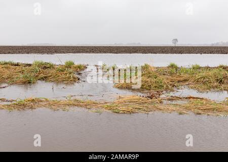 Gennaio tempeste con heavy rain causato allagamenti in campi di fattoria, traboccante di fossati e di erosione del suolo dal fluire acqua runoff Foto Stock