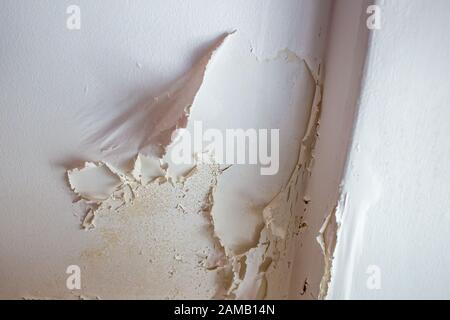 Pelatura della vernice del soffitto del bagno causata da umidità e condensa in eccesso Foto Stock