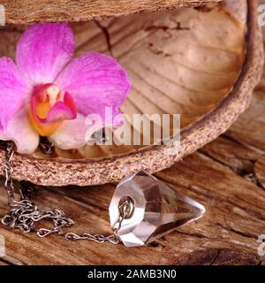 Pendolo di cristallo su legno con unica fioritura di orchidee Foto Stock