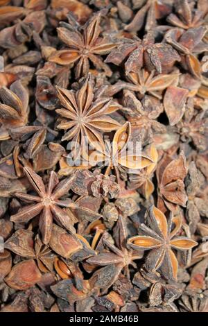 Aniseed in vendita a Dwarka, Gujarat, India Foto Stock