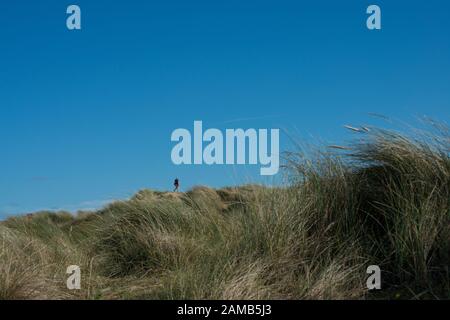 Vista bassa di una figura umana singola distante su dune di sabbia con figura che appare piccola come in prospettiva forzata e primo piano di erba di marram Foto Stock