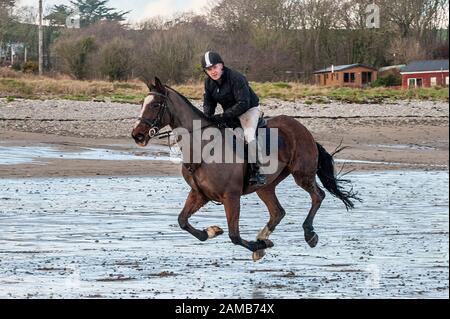 Butlerstown, West Cork, Irlanda. 12th Gen 2020. L'annuale Carberry Hunt Butlerstown Fun Ride ha avuto luogo oggi con centinaia di cavalli e piloti partecipanti. I cavalli si divertono sulla spiaggia di Broadstrand. Credito: Andy Gibson/Alamy Live News Foto Stock