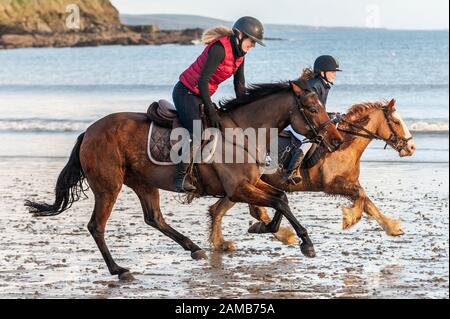 Butlerstown, West Cork, Irlanda. 12th Gen 2020. L'annuale Carberry Hunt Butlerstown Fun Ride ha avuto luogo oggi con centinaia di cavalli e piloti partecipanti. I cavalli si divertono sulla spiaggia di Broadstrand. Credito: Andy Gibson/Alamy Live News Foto Stock