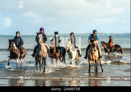 Butlerstown, West Cork, Irlanda. 12th Gen 2020. L'annuale Carberry Hunt Butlerstown Fun Ride ha avuto luogo oggi con centinaia di cavalli e piloti partecipanti. I cavalli si divertono sulla spiaggia di Broadstrand. Credito: Andy Gibson/Alamy Live News Foto Stock