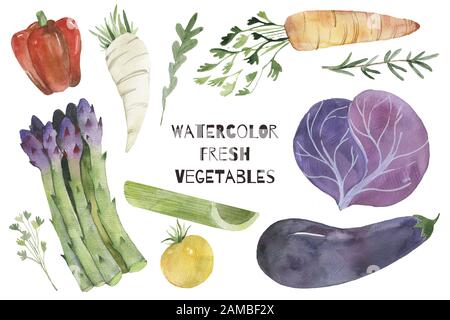 Dipinti ad acquerello raccolta di ortaggi. Disegnata a mano fresh food design elementi isolati su sfondo bianco. Foto Stock