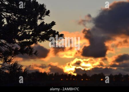 Foto della natura estone. Foto Stock