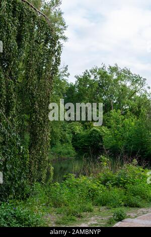 Il Tiergarten, a piedi attraverso il verde parco nel centro di Berlino vicino al fiume Foto Stock