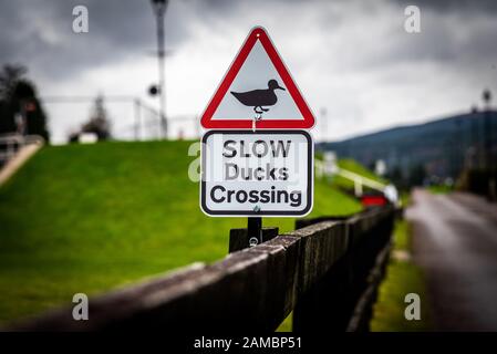 Bokeh di fondo di un cartello stradale avviso per guardare fuori per le anatre e le ochette attraversando la strada, collocato sopra un recinto a fianco della strada, su un sfondo nuvoloso. Foto Stock