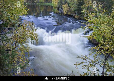 Cliff, muro di pietra, foresta, cascata e il fiume selvaggio vista panoramica in autunno. I colori dell'autunno - ruska tempo in Myllykoski. Sentiero di Karhunkierros, Oulanka Nat Foto Stock