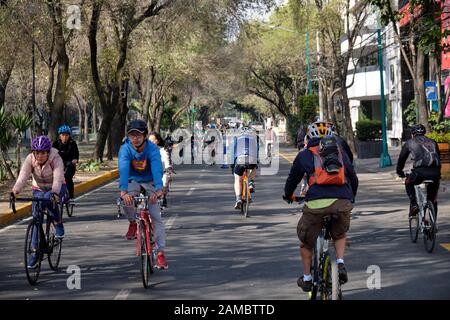 Città Del Messico, Messico. 12th gennaio 2020. Ciclisti sulle strade senza traffico alberato del quartiere la Condesa. "Muevete en Bici" è un'iniziativa sostenuta dal governo che mira a promuovere uno stile di vita sano e attivo per i residenti di Città del Messico. Ciclisti, jogging, famiglie e anche i loro cani prendono il controllo delle strade altrimenti congestionate della città ogni Domenica mattina. Credito: Meanderingemu / Alamy Live News Foto Stock