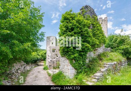 Incolto cancello di ingresso alle rovine del castello a Dvigrad (o a causa Castelli), un abbandonato città medievale di Draga valle centrale, Istria, Croazia Foto Stock