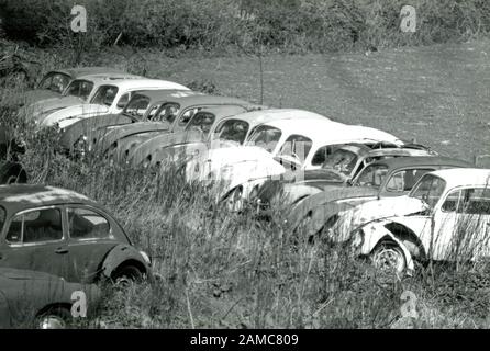 Linea di rottamazione Bug di coleotteri in un campo, essendo memorizzati per il restauro, rottami o parti. Bianco e nero immagine storica. Regno Unito Foto Stock