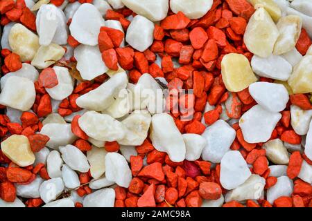 Marmo bianco e rosso di ghiaia fine. Semplice pietra con sfondo bianco e rosso ciottoli. Tessitura della pietra. Vista superiore della massa arredamento per giardino con colorati Foto Stock