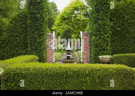 Buxus sempervirens 'Green Gem' - arbusto di legno di bosso, Thuja occidentalis - siepi di albero di cedro con fontana d'acqua e cancello aperto recinto in cortile privato. Foto Stock