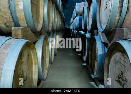 Botti di vino in cantina, cantina Kanonkop, Franschhoek, Sud Africa Foto Stock