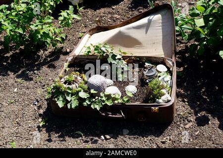 Lustige Dekoration im Garten - Minigarten in einem Reisekoffer Foto Stock