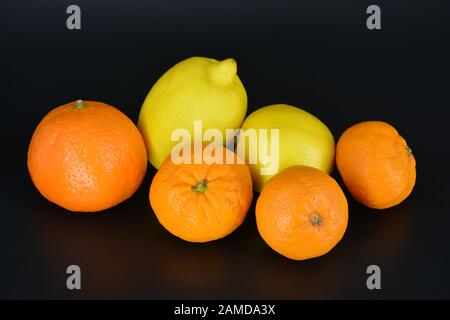 Frutta fresca e brillante, due limoni gialli, tre piccoli mandarini arancioni, una grande mineralola si trova su uno sfondo di plastica nera. Delizioso e dolce. Foto Stock