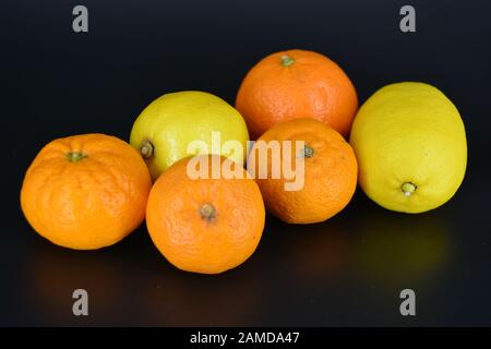 Frutta fresca e brillante, due limoni gialli, tre piccoli mandarini arancioni, una grande mineralola si trova su uno sfondo di plastica nera. Delizioso e dolce. Foto Stock