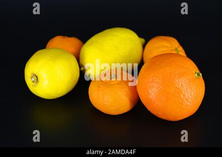 Frutta fresca e brillante, due limoni gialli, tre piccoli mandarini arancioni, una grande mineralola si trova su uno sfondo di plastica nera. Delizioso e dolce. Foto Stock