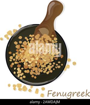Methi, semi fenugreek immagine vettoriale su sfondo bianco. Immagine isolata. Illustrazione Vettoriale