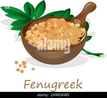Methi, semi fenugreek immagine vettoriale su sfondo bianco. Immagine isolata. Illustrazione Vettoriale