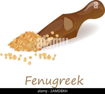 Methi, semi fenugreek immagine vettoriale su sfondo bianco. Immagine isolata. Illustrazione Vettoriale
