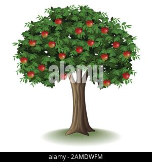 Le mele rosse su apple tree Illustrazione Vettoriale