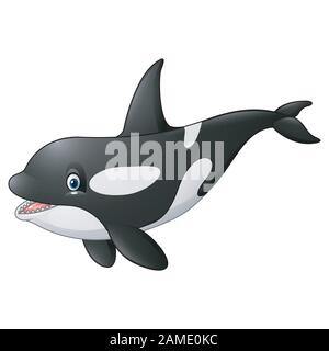 Cartoon Killer Whale Illustrazione Vettoriale