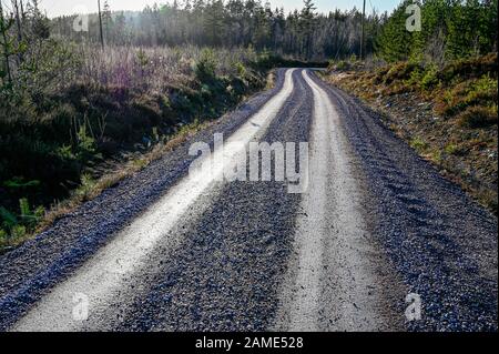 Strada sterrata attraverso la foresta svedese in Varmland Foto Stock